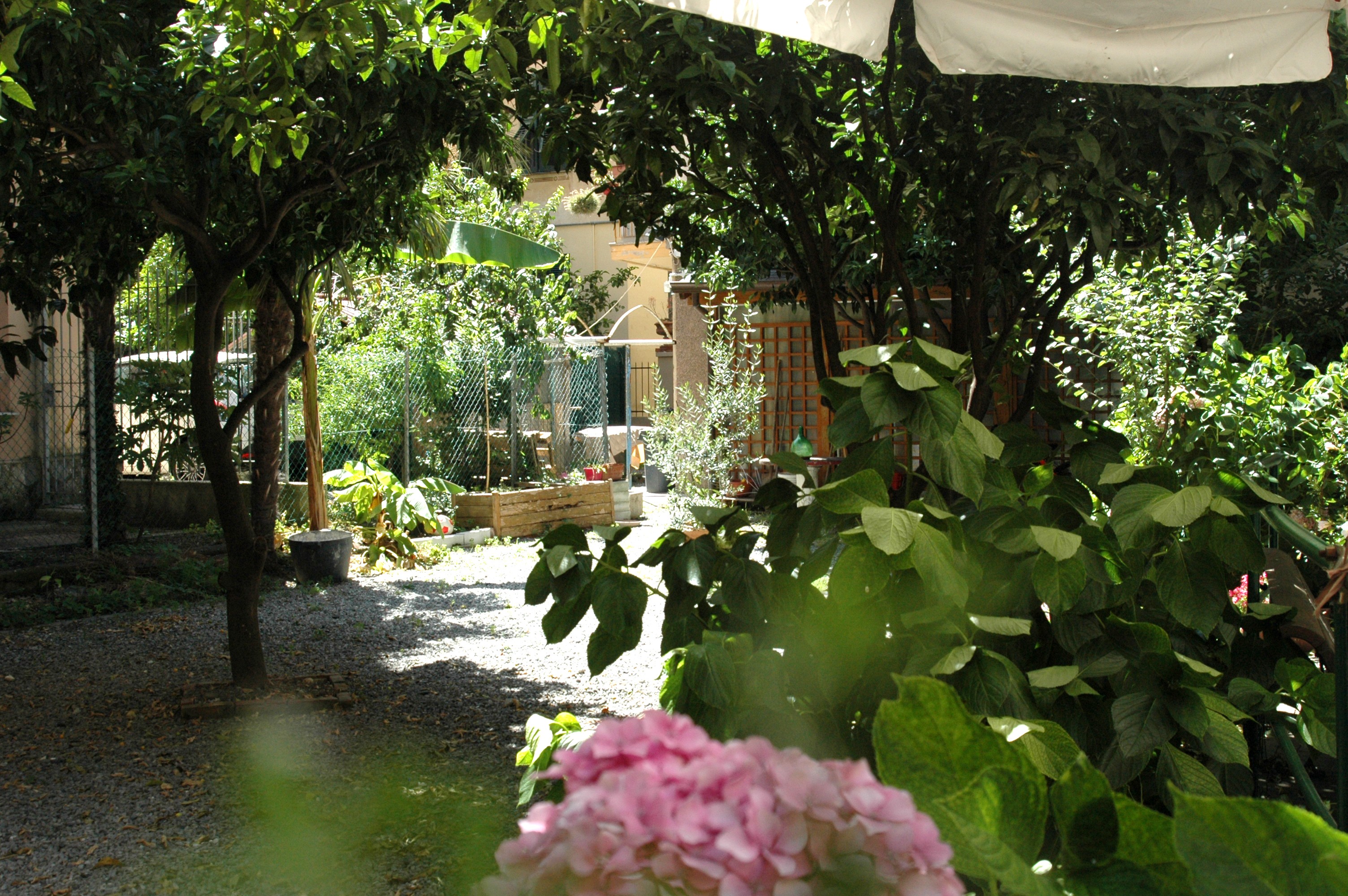 Giardino fiorito RSA Villa Veneto di Arenzano